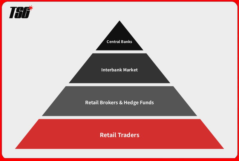 The forex market hierarchy