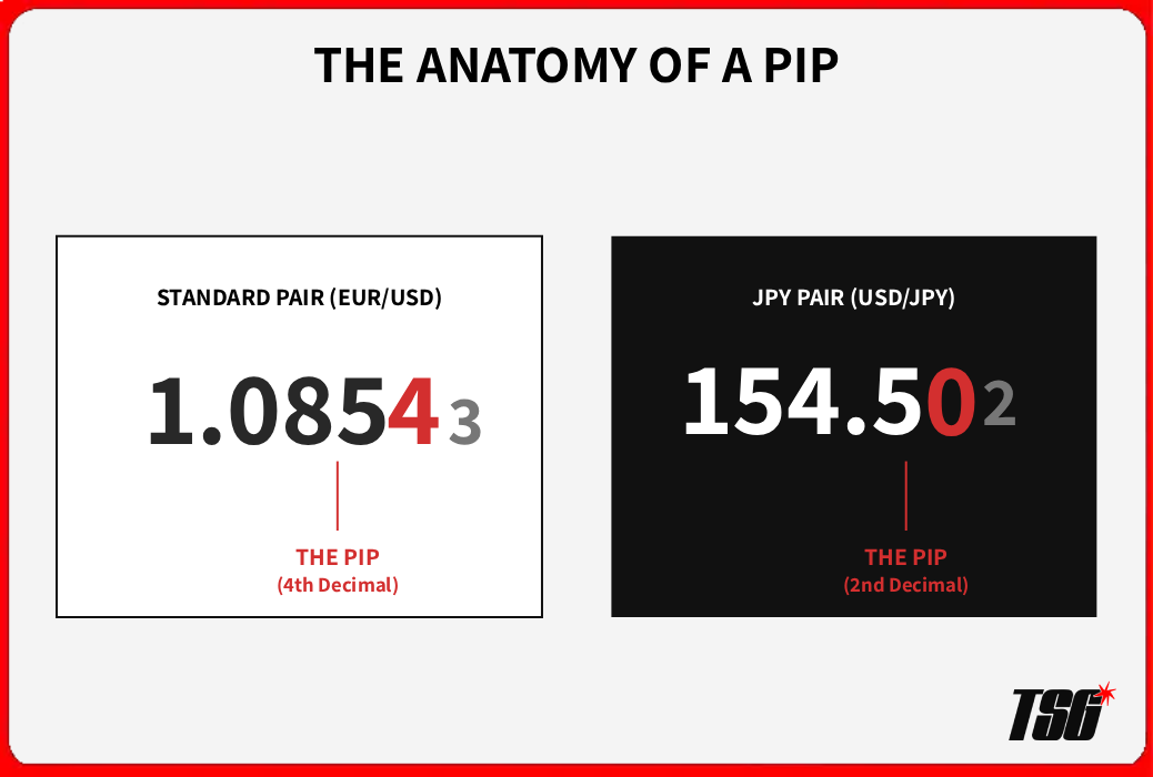 What are Pips in Forex?