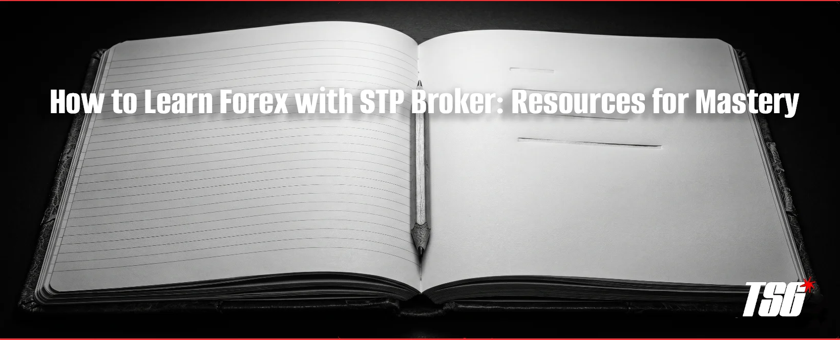 How to Learn Forex with STP Broker: Resources for Mastery